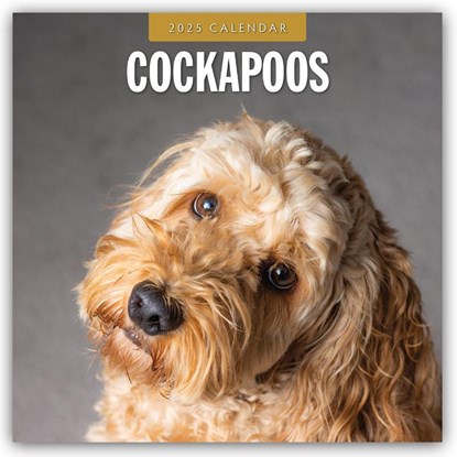 Cockapoos 2025 Square Wall Calendar, Red Robin - Paperback - 9781804424490