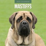 Mastiffs 2025 Square Wall Calendar - Red Robin - 9781804424865