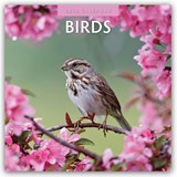 Birds 2026 Square Wall Calendar - Red Robin - 9781804427057