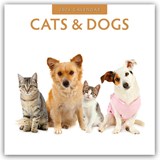 Cats & Dogs 2026 Square Wall Calendar - Red Robin - 9781804427132