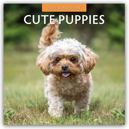Cute Puppies 2026 Square Wall Calendar, Red Robin - Paperback - 9781804427217