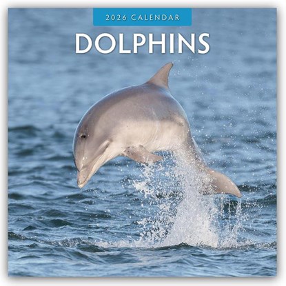 Dolphins 2026 Square Wall Calendar, Red Robin - Paperback - 9781804427231