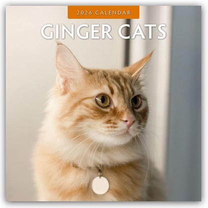 Ginger Cats 2026 Square Wall Calendar, Red Robin - Paperback - 9781804427309