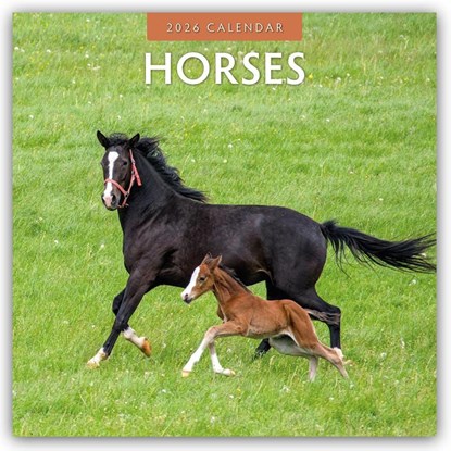 Horses 2026 Square Wall Calendar, Red Robin - Paperback - 9781804427354