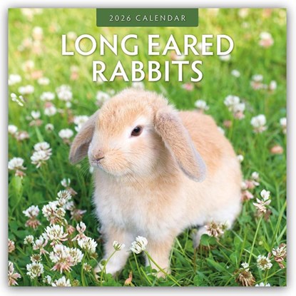 Long Eared Rabbits 2026 Square Wall Calendar, Red Robin - Paperback - 9781804427378