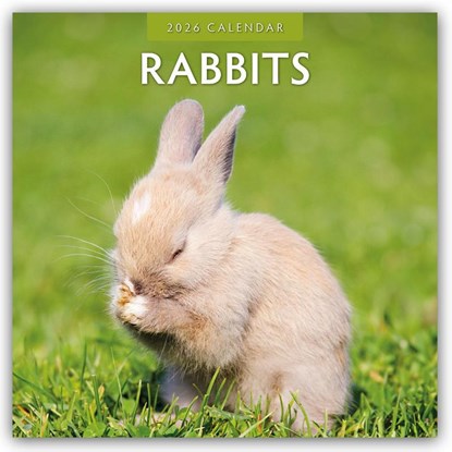 Rabbits 2026 Square Wall Calendar, Red Robin - Paperback - 9781804427484