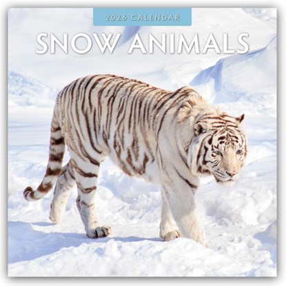 Snow Animals - Arktische Tiere 2026 - 16-Monatskalender, Robin Red - Paperback - 9781804427545