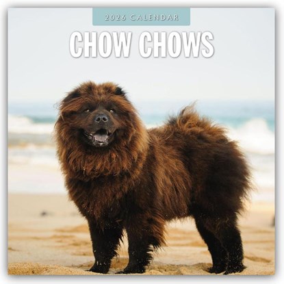 Chow Chows 2026 Square Wall Calendar, Red Robin - Paperback - 9781804427941