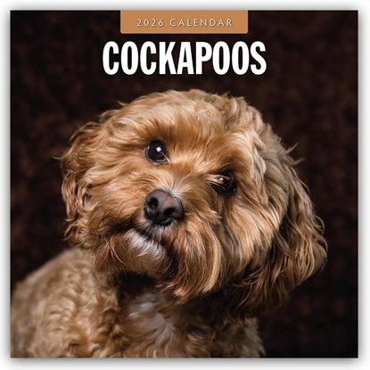 Cockapoos 2026 Square Wall Calendar, Red Robin - Paperback - 9781804427958