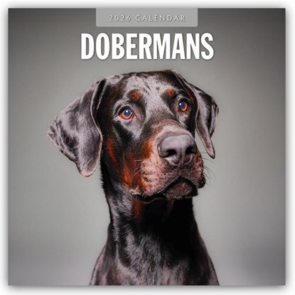 Dobermans 2026 Square Wall Calendar, Red Robin - Paperback - 9781804428023