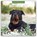 Rottweilers 2026 Square Wall Calendar, Red Robin - Paperback - 9781804428467