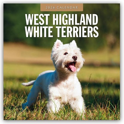 West Highland White Terriers 2026 Square Wall Calendar, Red Robin - Paperback - 9781804428665