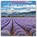 Lavender 2026 Square Wall Calendar, Red Robin - Paperback - 9781804429310