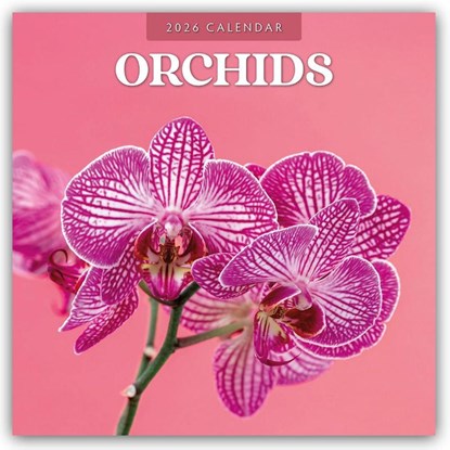 Orchids 2026 Square Wall Calendar, Red Robin - Paperback - 9781804429327