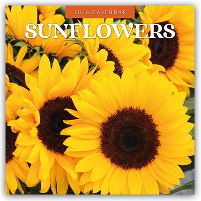 Sunflowers 2026 Square Wall Calendar, Red Robin - Paperback - 9781804429341