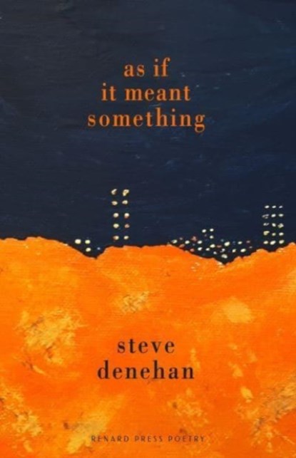 As if it Meant Something, Steve Denehan - Paperback - 9781804470299
