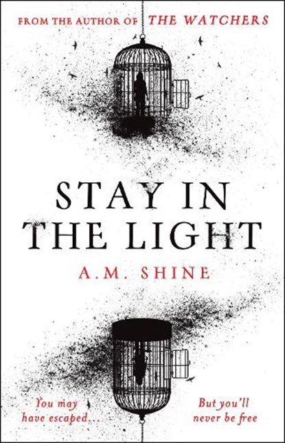 Stay in the Light, A.M. Shine - Gebonden - 9781804547939