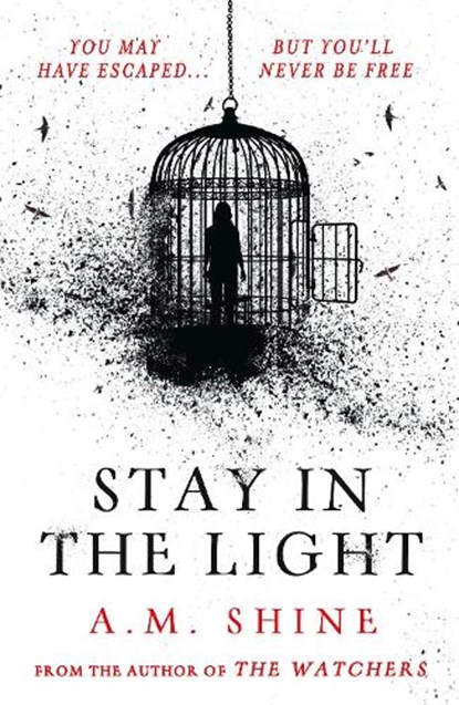 Stay in the Light, A.M. Shine - Paperback - 9781804547953