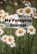 My Foraging Journal, Gavin Ireland - Paperback - 9781804671719