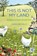 This is not my land, Caroline Mills - Paperback - 9781804693476