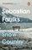 Snow Country, Sebastian Faulks - Paperback - 9781804944325