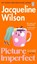 Picture Imperfect, Jacqueline Wilson - Paperback - 9781804997000