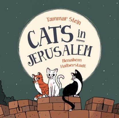 Cats in Jerusalem, Tammar Stein - Gebonden - 9781805000877