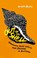 Out of My Shell, Natasha Daniels - Paperback - 9781805011972