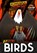 Brutal Birds, Mignonne Gunasekara - Paperback - 9781805050117