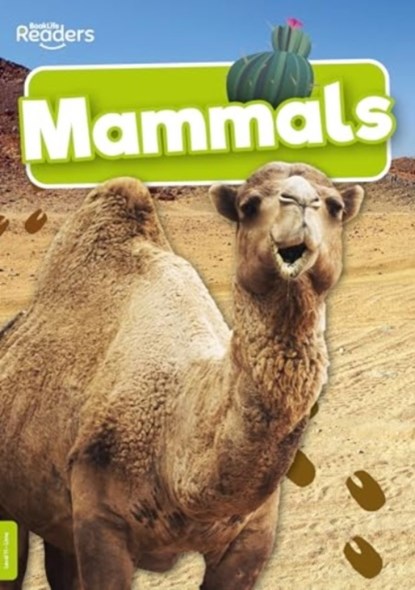 Mammals, Charlie Ogden - Paperback - 9781805050773