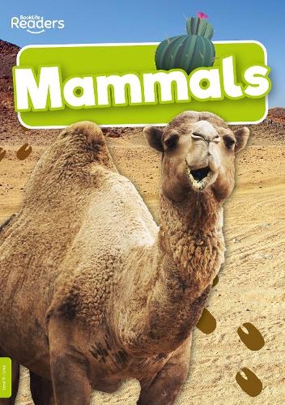 Mammals, Charlie Ogden - Paperback - 9781805050773
