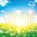 Sunshine, Harriet Brundle - Paperback - 9781805053439