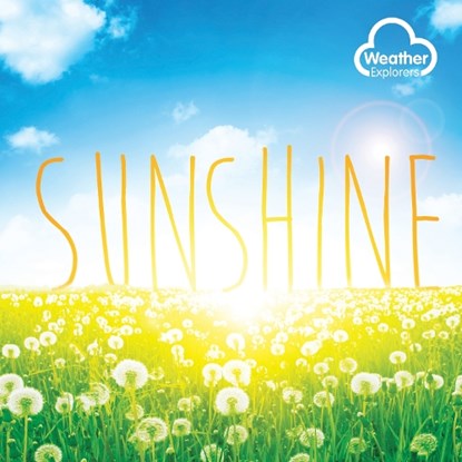 Sunshine, Harriet Brundle - Paperback - 9781805053439