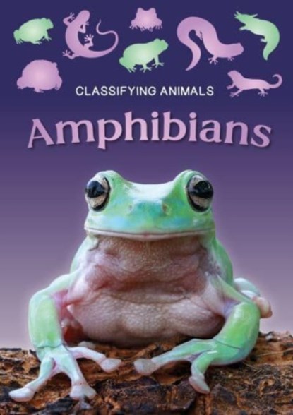 Amphibians, Charlie Ogden - Paperback - 9781805053835