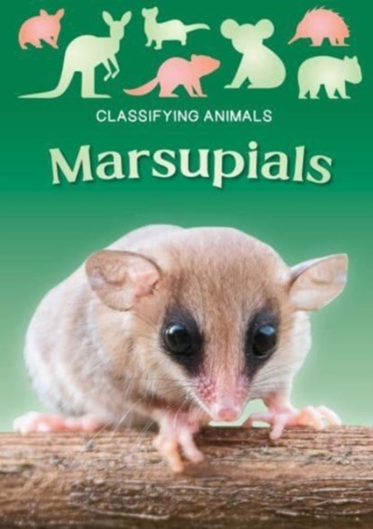 Marsupials, Madeline Tyler - Paperback - 9781805053859