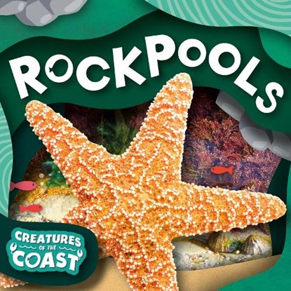Rockpools, Noah (Booklife Publishing Ltd) Leatherland - Paperback - 9781805053897