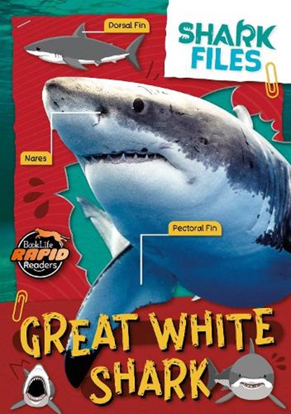 Great White Shark, Robin Twiddy - Paperback - 9781805056843