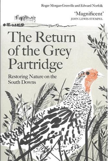 The Return of the Grey Partridge, Roger Morgan-Grenville ; Edward (author) Norfolk - Paperback - 9781805223498