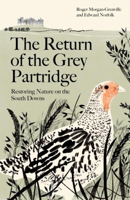 The Return of the Grey Partridge, Roger Morgan-Grenville ; Edward (author) Norfolk - Paperback - 9781805223498
