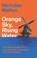 Orange Sky, Rising Water, Nicholas Walton - Gebonden - 9781805264156