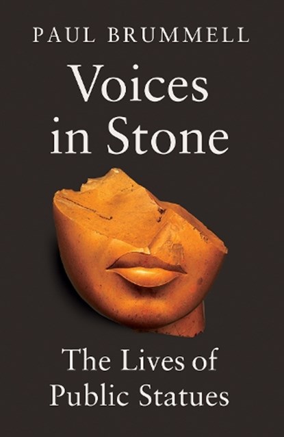 Voices in Stone, Paul Brummell - Gebonden - 9781805265245
