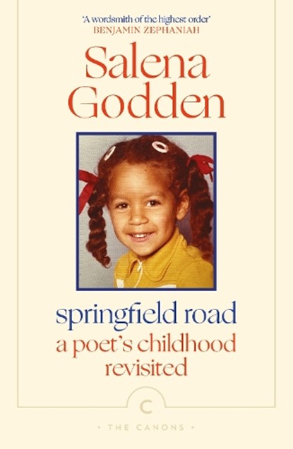 Springfield Road, Salena Godden - Paperback - 9781805300243