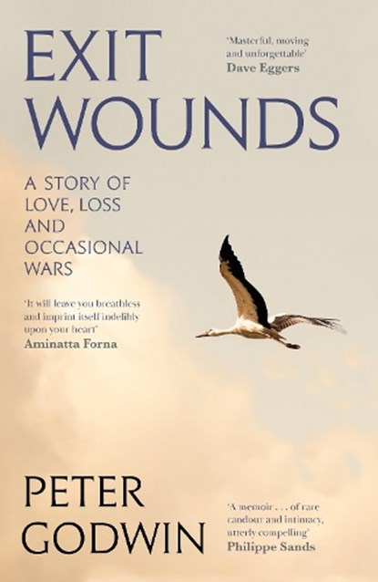 Exit Wounds, Peter Godwin - Gebonden - 9781805303336