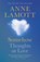 Somehow, Anne Lamott - Gebonden - 9781805303442