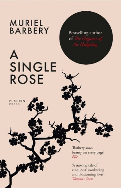 A Single Rose, Muriel Barbery - Paperback - 9781805333760