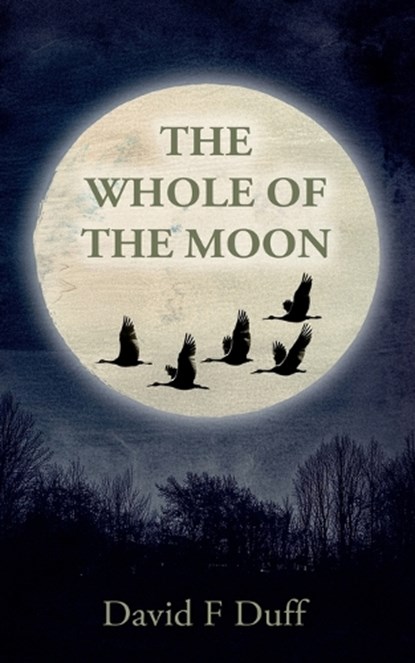 The Whole of the Moon, David F Duff - Paperback - 9781805417842