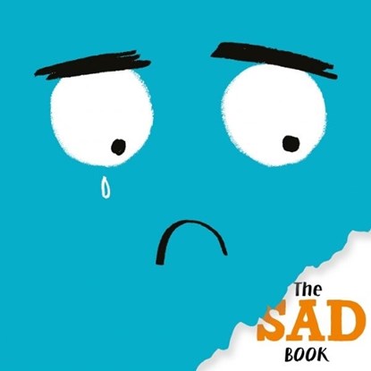 The Sad Book, Howard Pearlstein - Paperback - 9781805950899