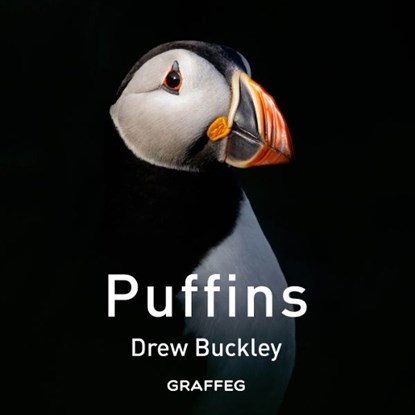 Puffins, Drew Buckley - Gebonden - 9781805952190