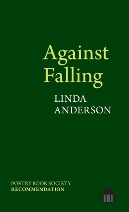 Against Falling, Linda Anderson - Paperback - 9781805966135