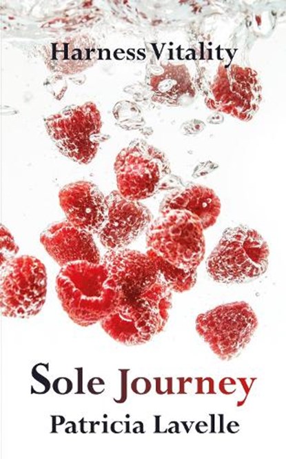 Sole Journey, Patricia Lavelle - Paperback - 9781806343911